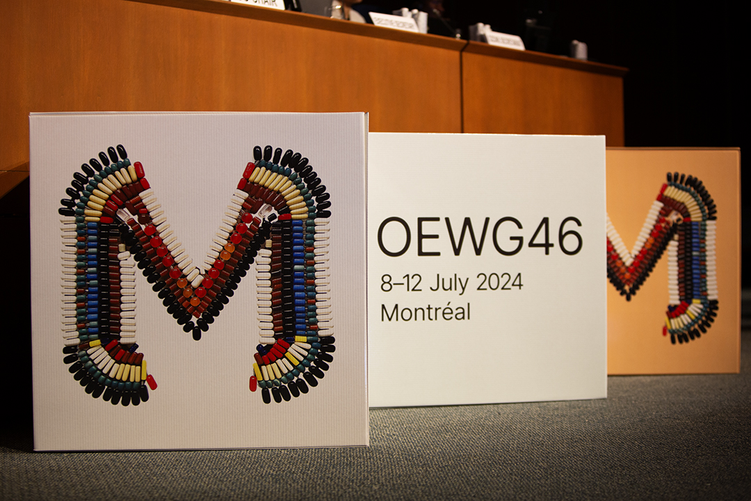 OEWG Sign- OEWG46 – 8July2024